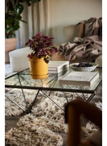 DONICZKA ELISE, ŚREDNIA Ż&Oacute;ŁTA