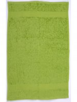 zielone jabłuszko 63