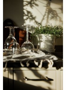 DONICZKA ELISE, MAŁA BIAŁA