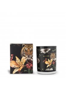 Wilderness, świeca zapachowa